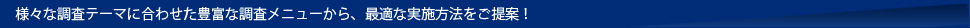様々な調査テーマに合わせた豊富な調査メニューから、最適な実施手法をご提案！